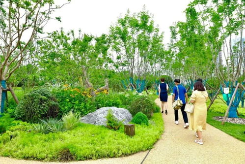 一條名為“幸福”的道路 串起西安綠色長廊的樹木種植經營