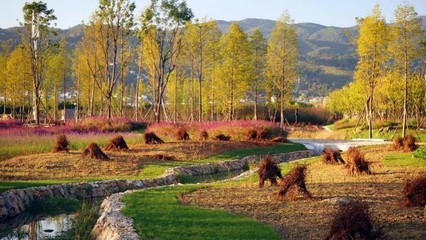 東方園林 向全能型生態(tài)環(huán)保企業(yè)邁進，持續(xù)深耕循環(huán)經(jīng)濟與樹木種植經(jīng)營