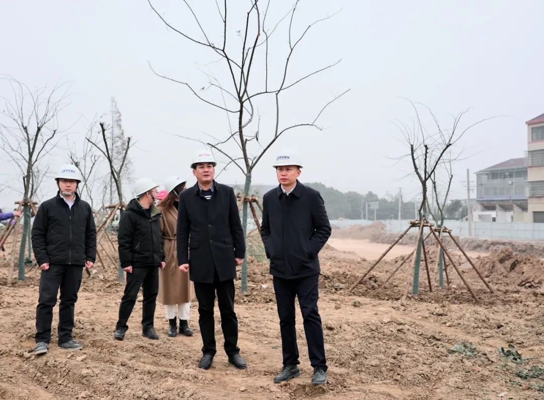 張?jiān)骑w率隊(duì)調(diào)研白云園林公司 聚焦在建項(xiàng)目與樹(shù)木種植經(jīng)營(yíng)，推動(dòng)綠色發(fā)展新篇章